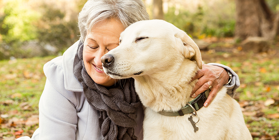 spa adoptez un animal en toute quietude