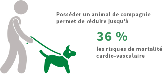 Posséder un animal de compagnie permet de réduire jusqu'à 36 % les risques de mortalité cardio-vasculaire